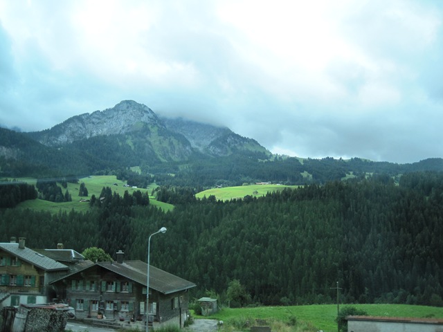 IMG_0196 IMG_0196