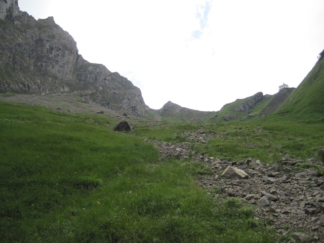 IMG_0239 IMG_0239